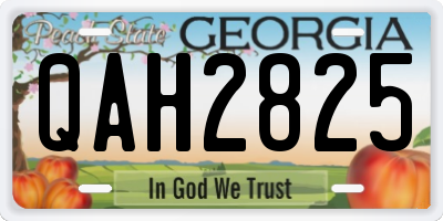 GA license plate QAH2825