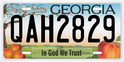 GA license plate QAH2829