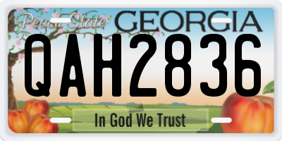 GA license plate QAH2836