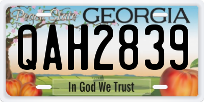 GA license plate QAH2839