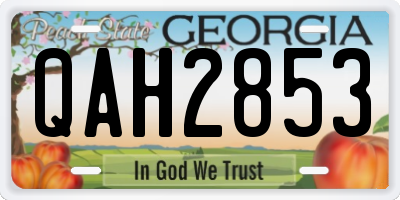 GA license plate QAH2853