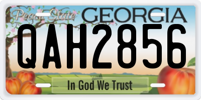GA license plate QAH2856