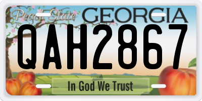 GA license plate QAH2867