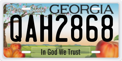 GA license plate QAH2868