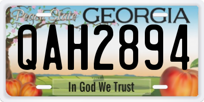 GA license plate QAH2894