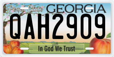 GA license plate QAH2909