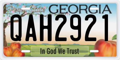 GA license plate QAH2921