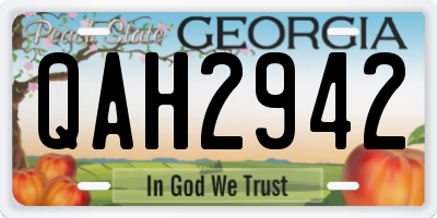 GA license plate QAH2942