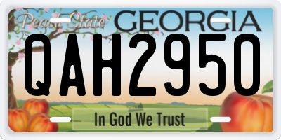 GA license plate QAH2950