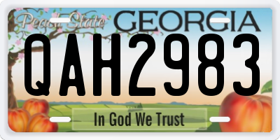 GA license plate QAH2983
