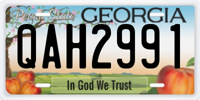 GA license plate QAH2991