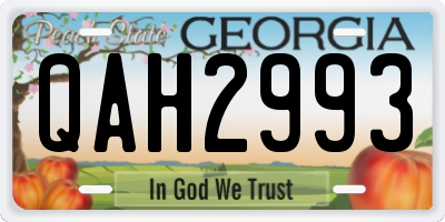 GA license plate QAH2993