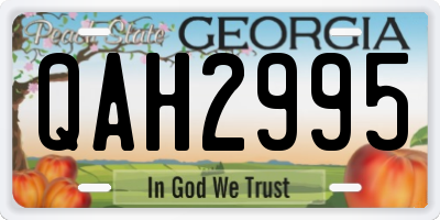 GA license plate QAH2995