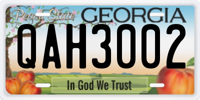 GA license plate QAH3002