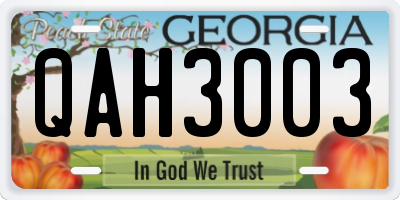 GA license plate QAH3003