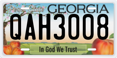 GA license plate QAH3008