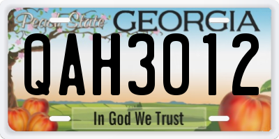 GA license plate QAH3012