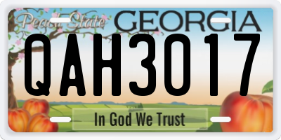 GA license plate QAH3017