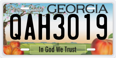 GA license plate QAH3019
