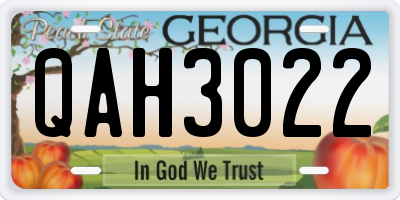 GA license plate QAH3022