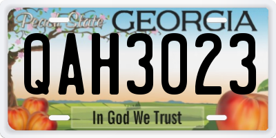 GA license plate QAH3023