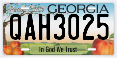 GA license plate QAH3025