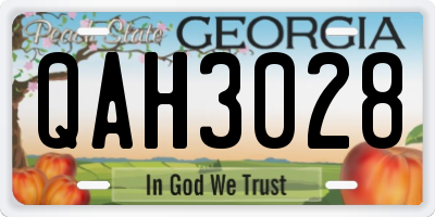 GA license plate QAH3028