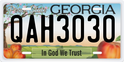 GA license plate QAH3030