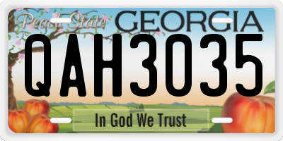 GA license plate QAH3035