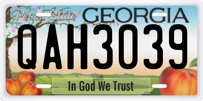 GA license plate QAH3039
