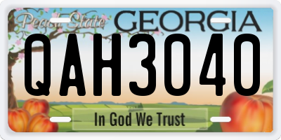 GA license plate QAH3040