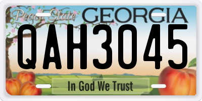 GA license plate QAH3045