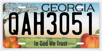 GA license plate QAH3051