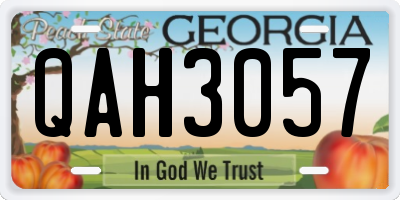 GA license plate QAH3057