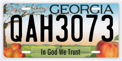 GA license plate QAH3073
