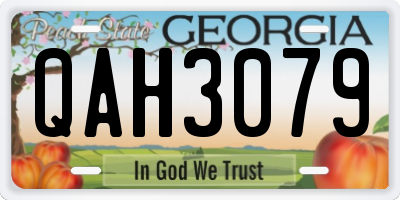 GA license plate QAH3079