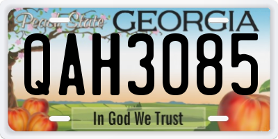 GA license plate QAH3085