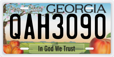 GA license plate QAH3090