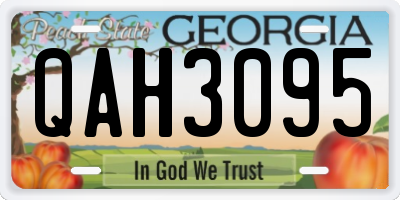 GA license plate QAH3095