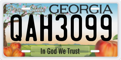 GA license plate QAH3099