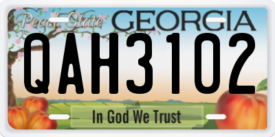 GA license plate QAH3102