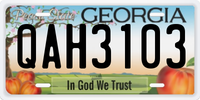 GA license plate QAH3103