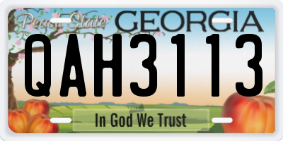 GA license plate QAH3113