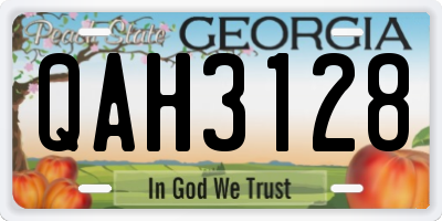GA license plate QAH3128