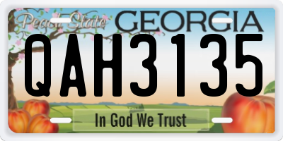 GA license plate QAH3135