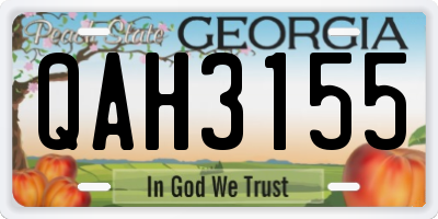 GA license plate QAH3155