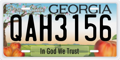 GA license plate QAH3156