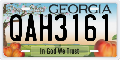 GA license plate QAH3161