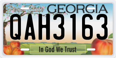 GA license plate QAH3163