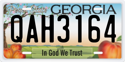 GA license plate QAH3164
